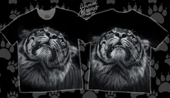 тигр, tiger, 2022